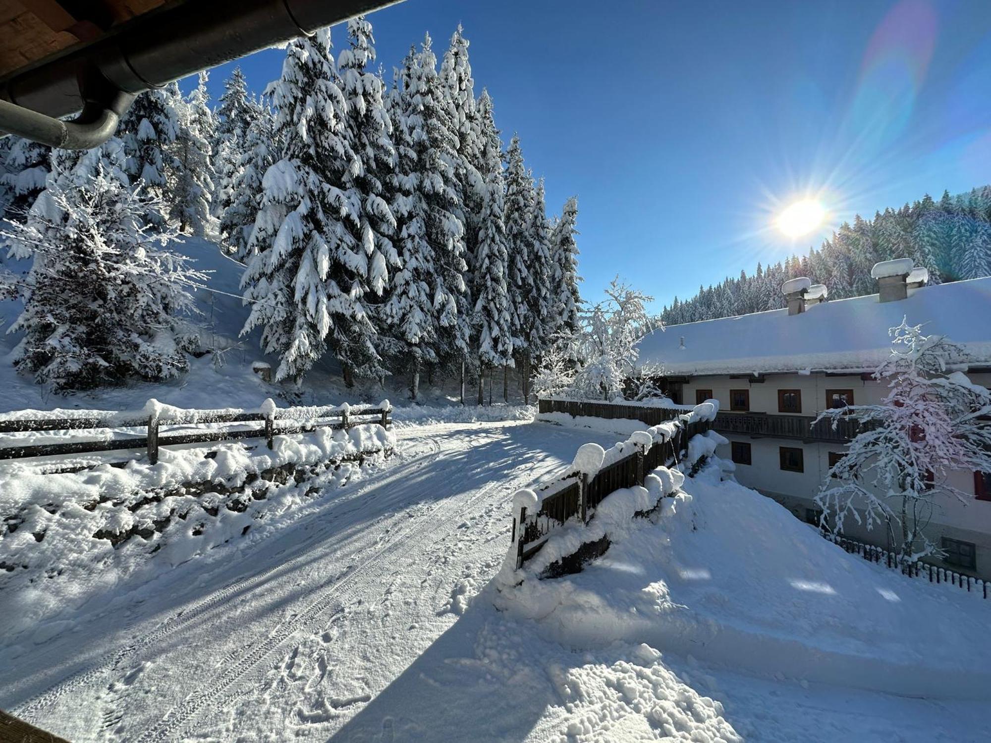Haus Luxer Apartment Auffach Exterior photo